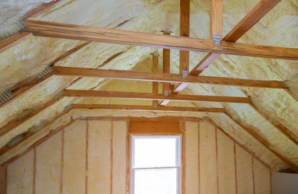 Best Spray Foam Insulation  in Mission Bend, TX