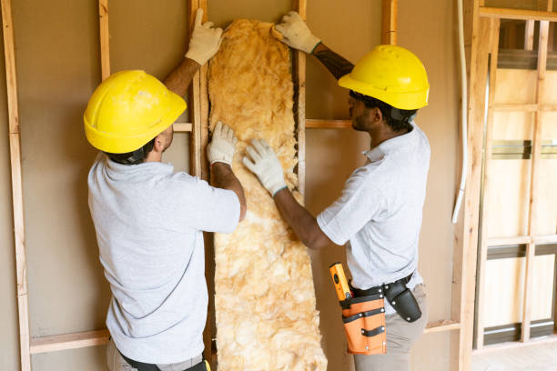 Best Insulation for New Construction  in Mission Bend, TX