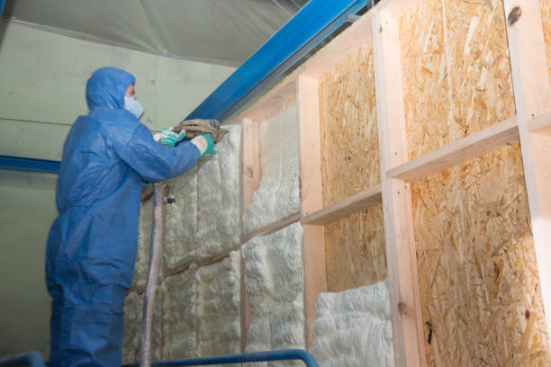 Best Insulation Inspection Services  in Mission Bend, TX