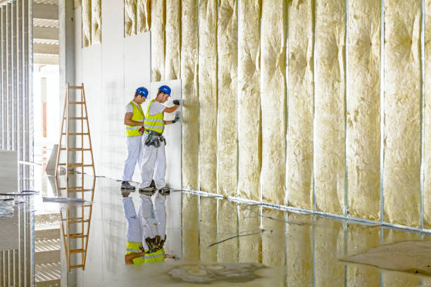 Best Insulation Inspection Services  in Mission Bend, TX